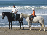 Bali Beach Tour / Horseback Riding in Bali