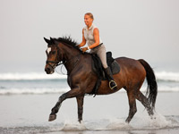 Kids Lesson / Horseback Riding in Bali